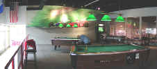 pool.jpg (101793 bytes)